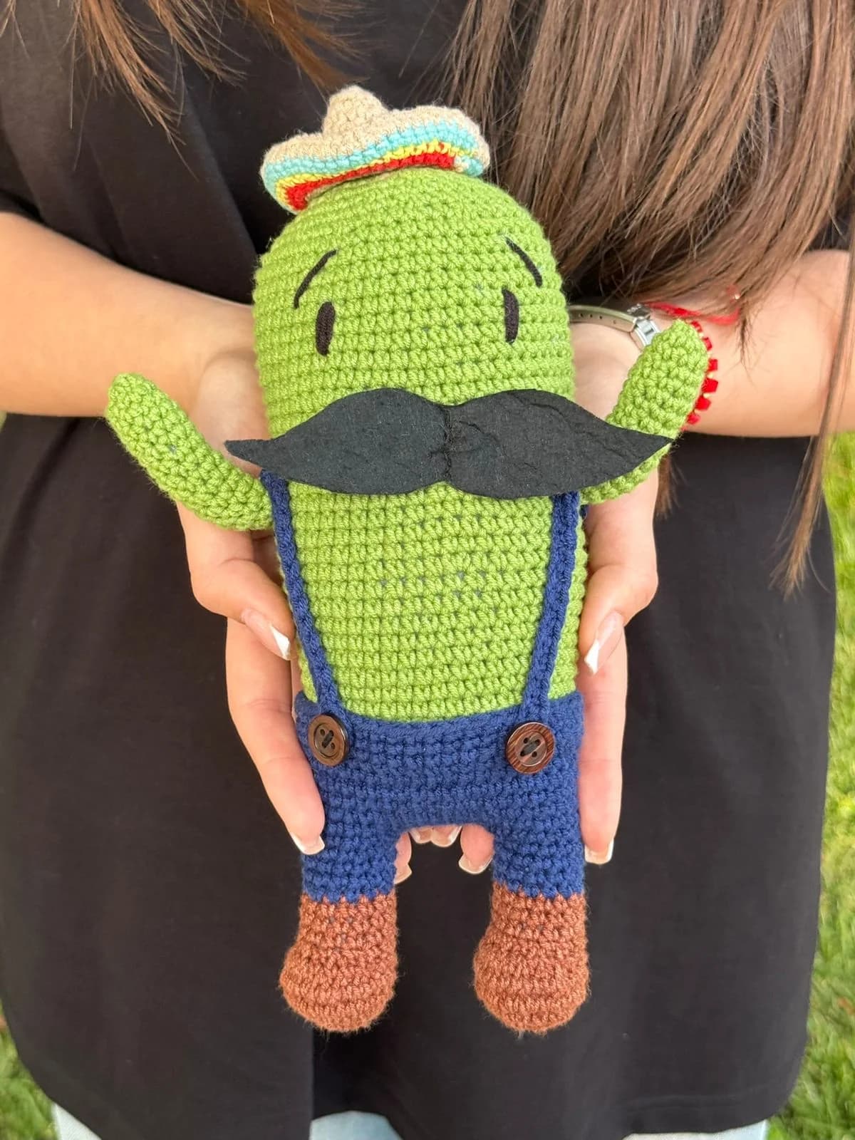 Kaktus Luigi